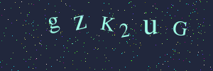 Validation image