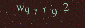 Validation image