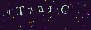 Validation image