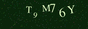 Validation image